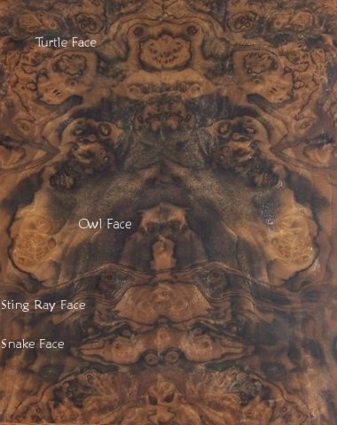 Odd walnut burl veneer