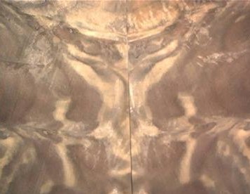 Big Bad Wolf Walnut Veneer